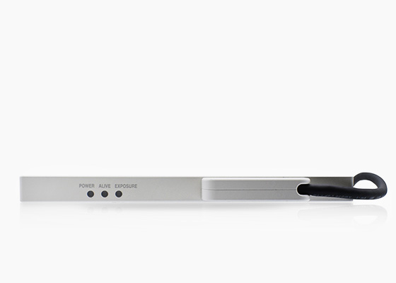 High Resolution flat panel detector in Egypt